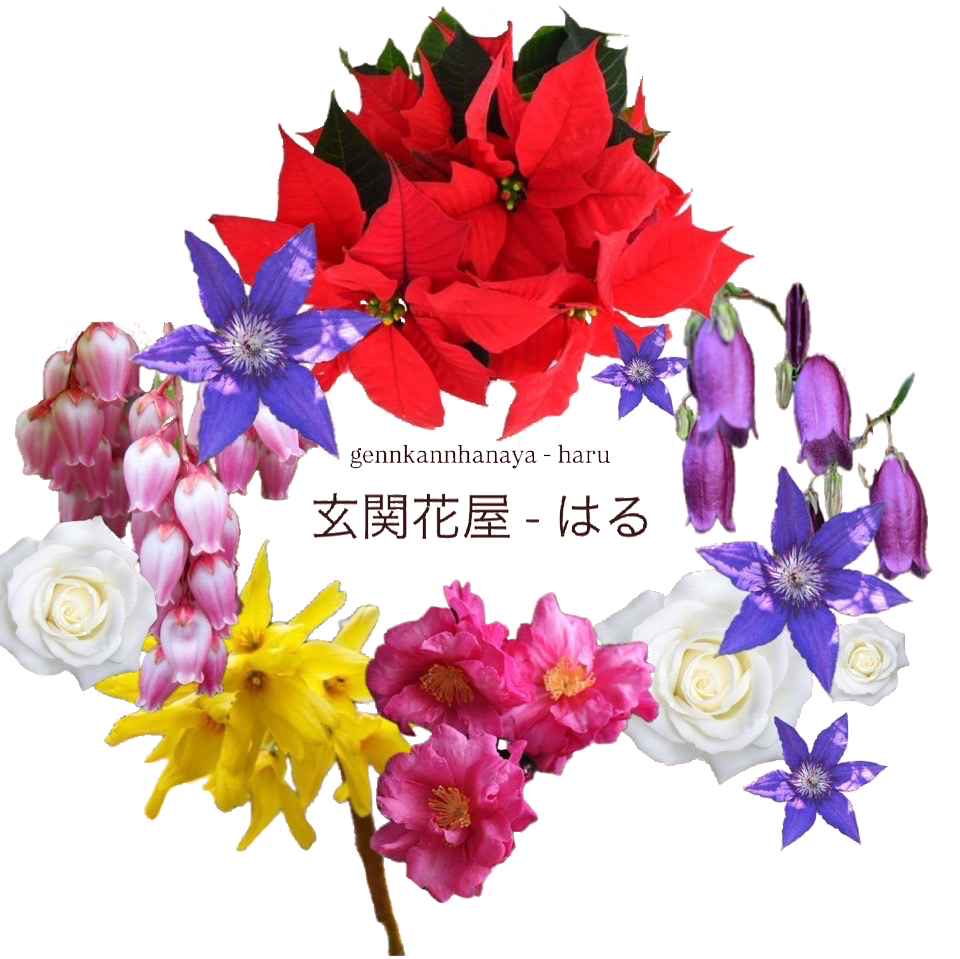 玄関花屋はる|山口県宇部市|フラワーコーディネート